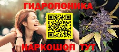 синтетический гашиш Лесосибирск